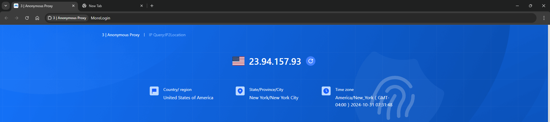 IP checker showing proxy's IP, confirming Anonymous Proxies connection through MoreLogin.