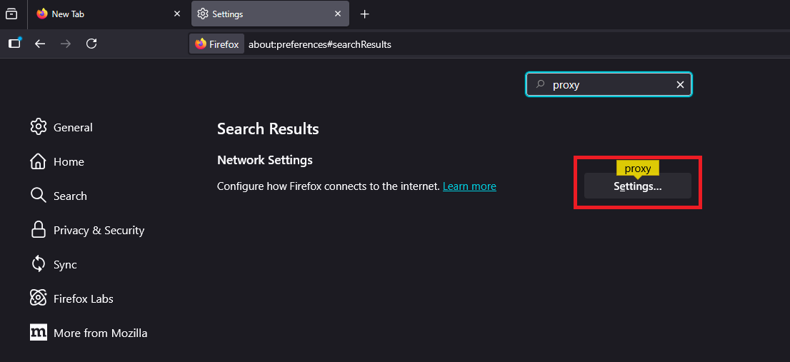 Firefox Network Settings page showing Proxy Settings button.